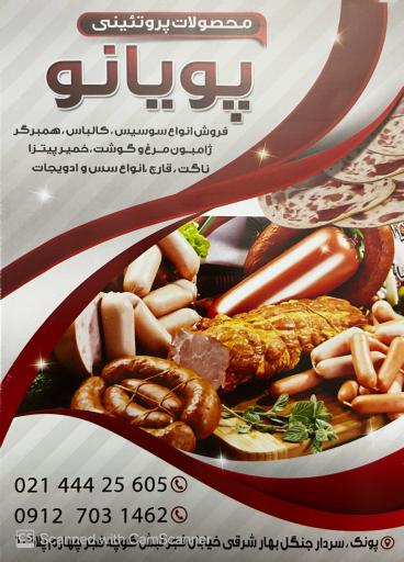 عکس پروتئینی پویانو