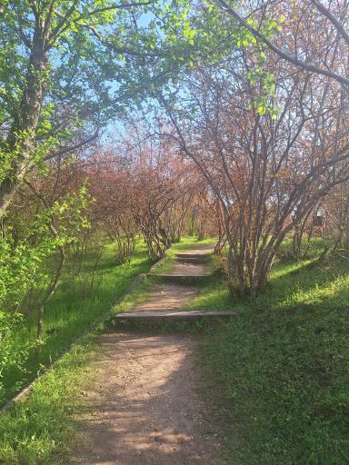 عکس غارهای توریستی هوتو و کمربند