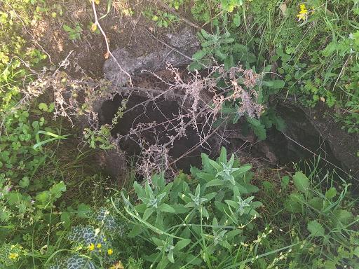 عکس غارهای توریستی هوتو و کمربند