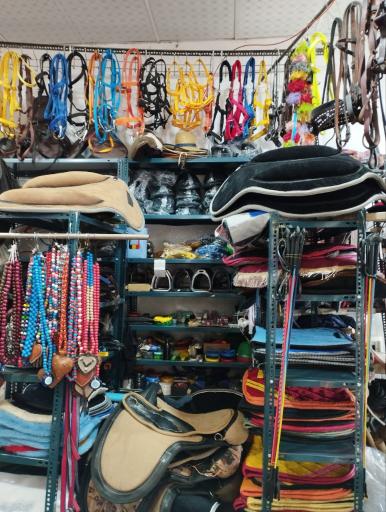 عکس لوازم سوارکاری صادقی 