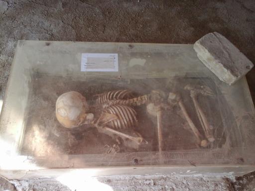 عکس تپه سیلک