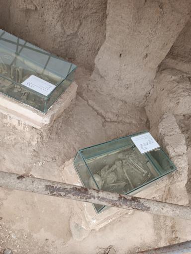 عکس تپه سیلک