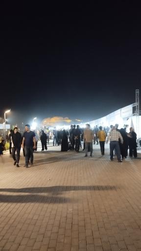 عکس تپه سیلک