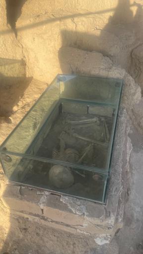 عکس تپه سیلک