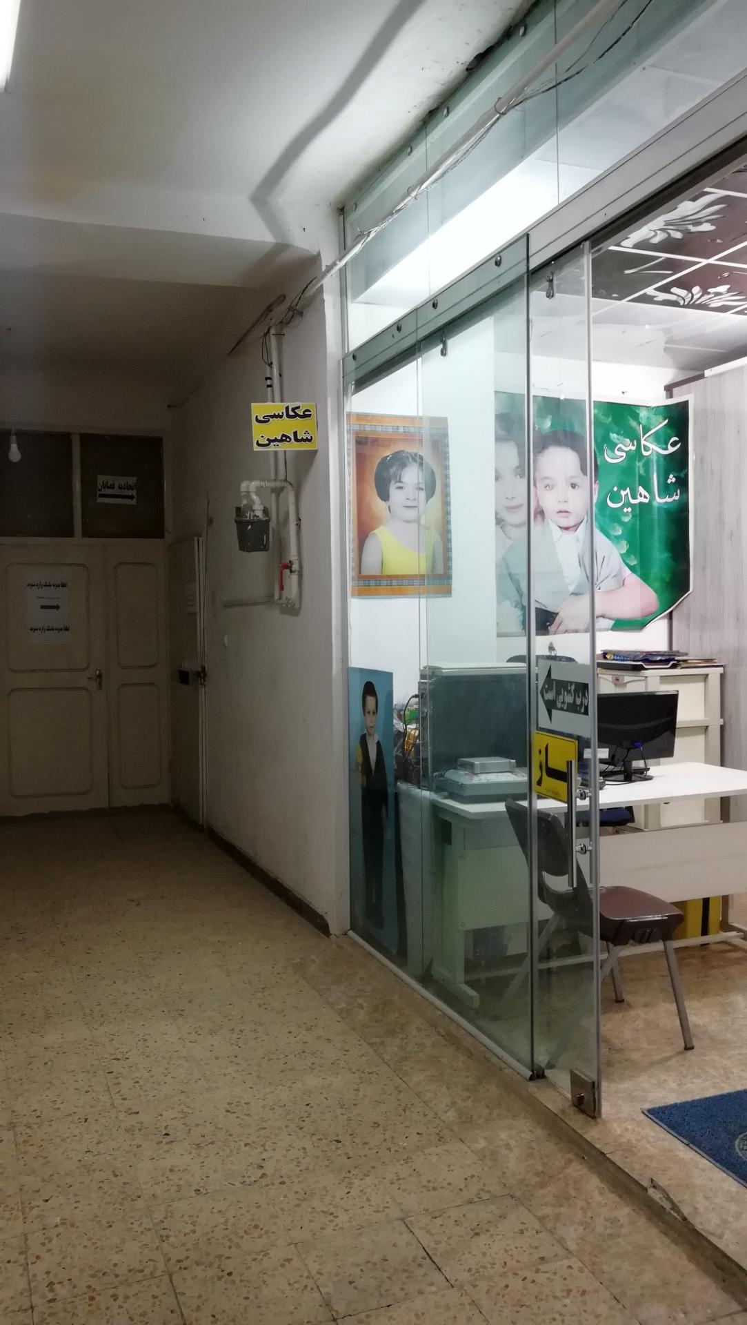 عکس عکاسی شاهین