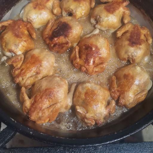 عکس اکبر جوجه شاندیز 