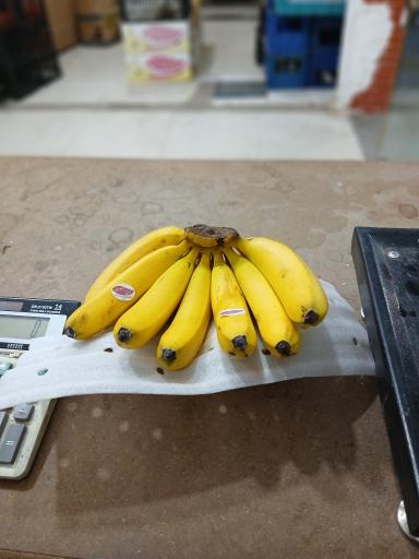 عکس میوه سرای اعظمی