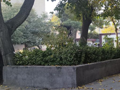 عکس هنرستان سینا