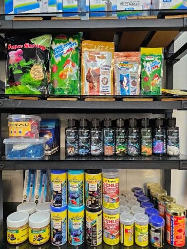 عکس پتاریوم