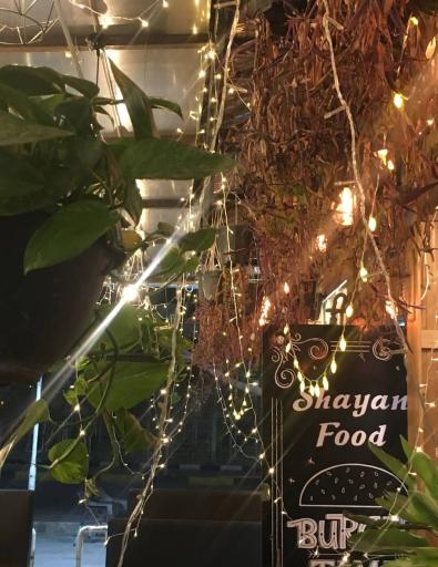 عکس شایان‌فود