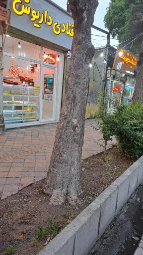 عکس قنادی داریوش