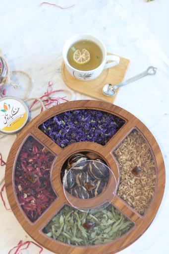 عکس خشکبار توکل