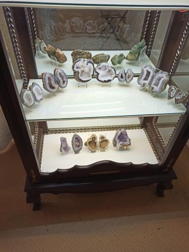 عکس موزه دیرینه شناسی کامبرین