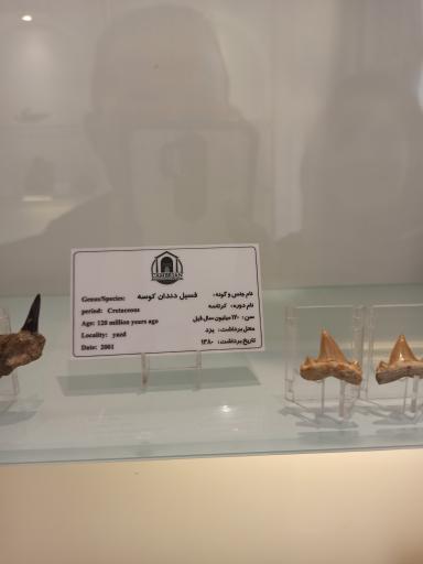 موزه دیرینه شناسی کامبرین