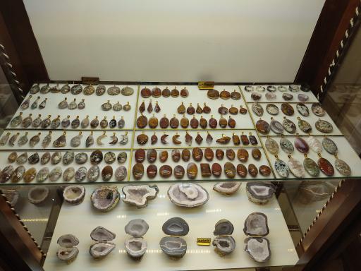 عکس موزه دیرینه شناسی کامبرین