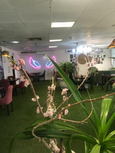 عکس کافه اسکای