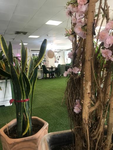 عکس کافه اسکای