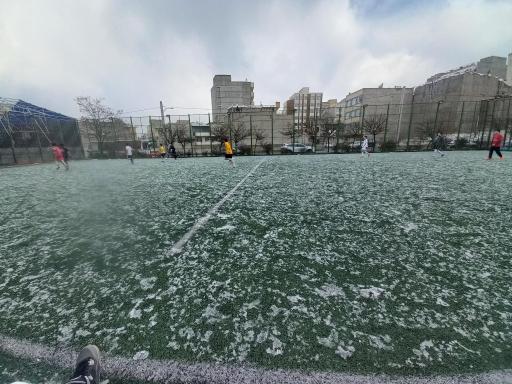 عکس مجموعه ورزشی صائب تبریزی