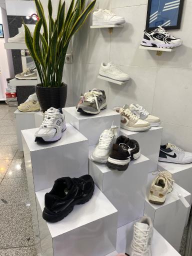 شوز ترند