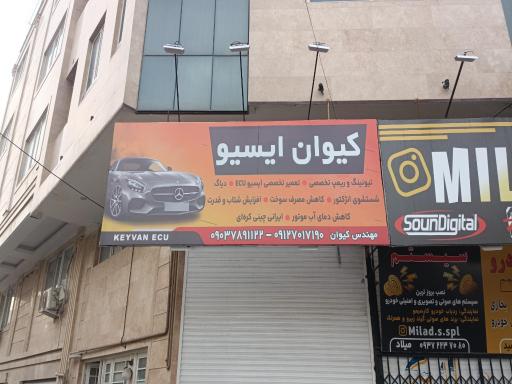 کیوان ایسیو