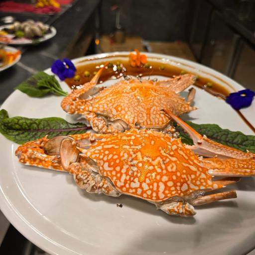 عکس کافه رستوران دريايی مرشد