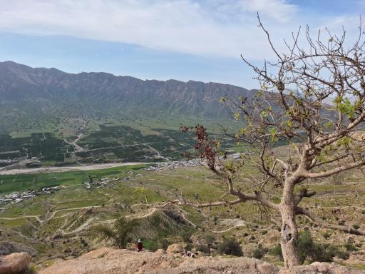 عکس غار شاپور