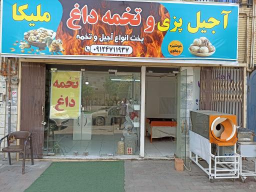 عکس تخمه داغ ملیکا