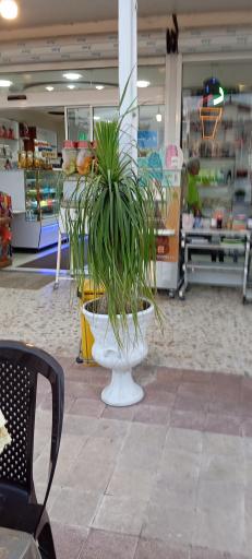 عکس شیرینی و بستنی تبریز