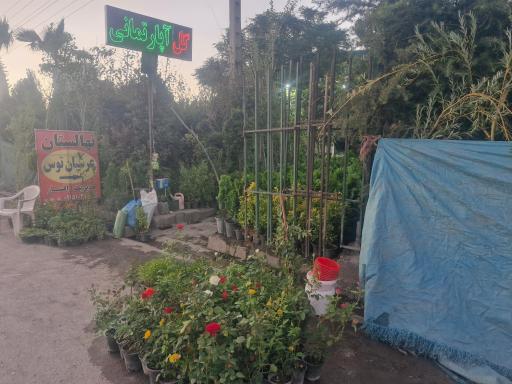 عکس نهالستان مرکزی عرشیان توس