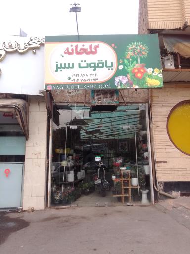 عکس گلخانه یاقوت سبز