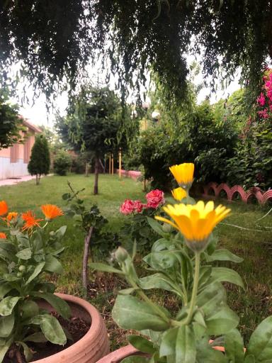عکس اقامتگاه بومگردی کانی لوسه