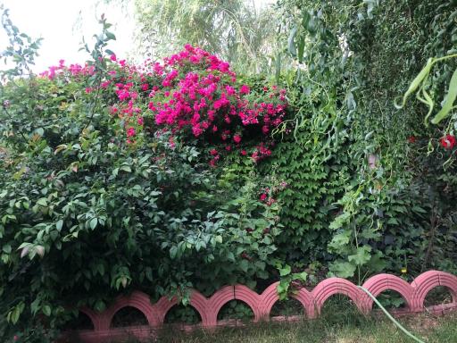 عکس اقامتگاه بومگردی کانی لوسه