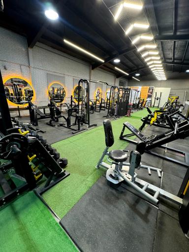 عکس باشگاه بدنسازی تپش 