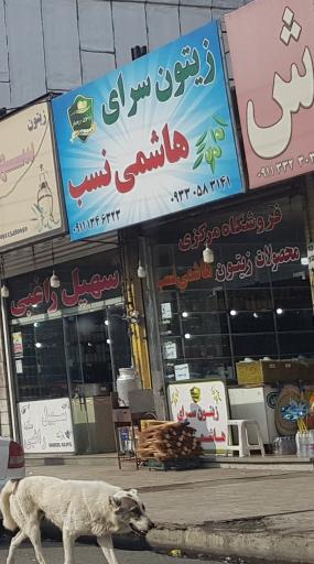 زیتون سرای هاشمی نسب