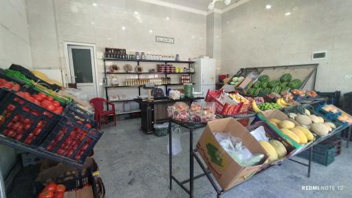 عکس باغ میوه