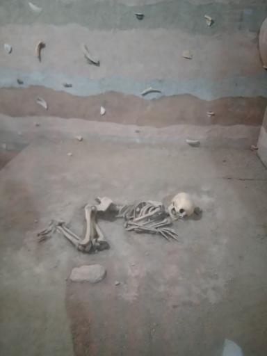 عکس نگارخانه خطائی