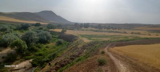 عکس صالح آباد