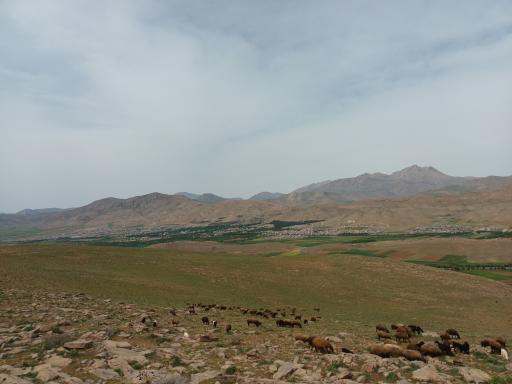 عکس درکه عین القاس