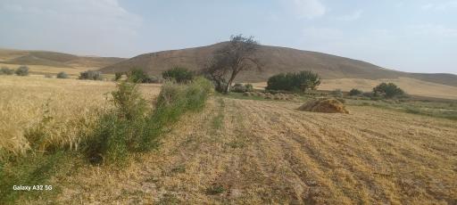 عکس صالح آباد
