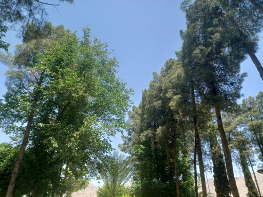 عکس بوستان آزادی