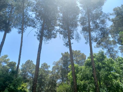 عکس بوستان آزادی