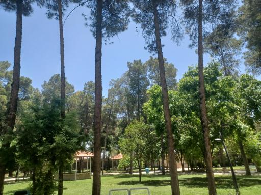 عکس بوستان آزادی