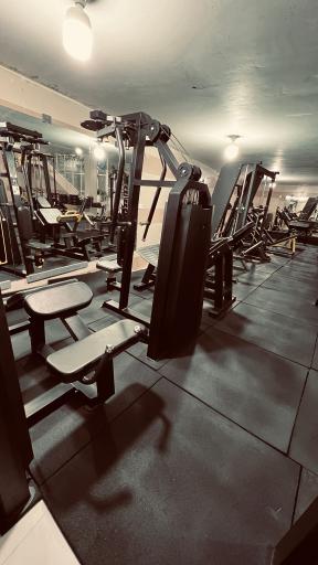 عکس باشگاه بدنسازی بانوان سالمی 