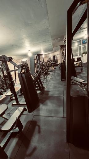 عکس باشگاه بدنسازی بانوان سالمی 