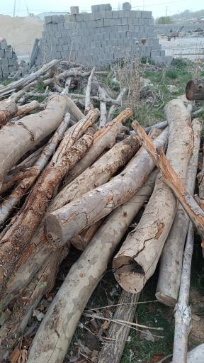 عکس صنایع چوب رسول شفیعی