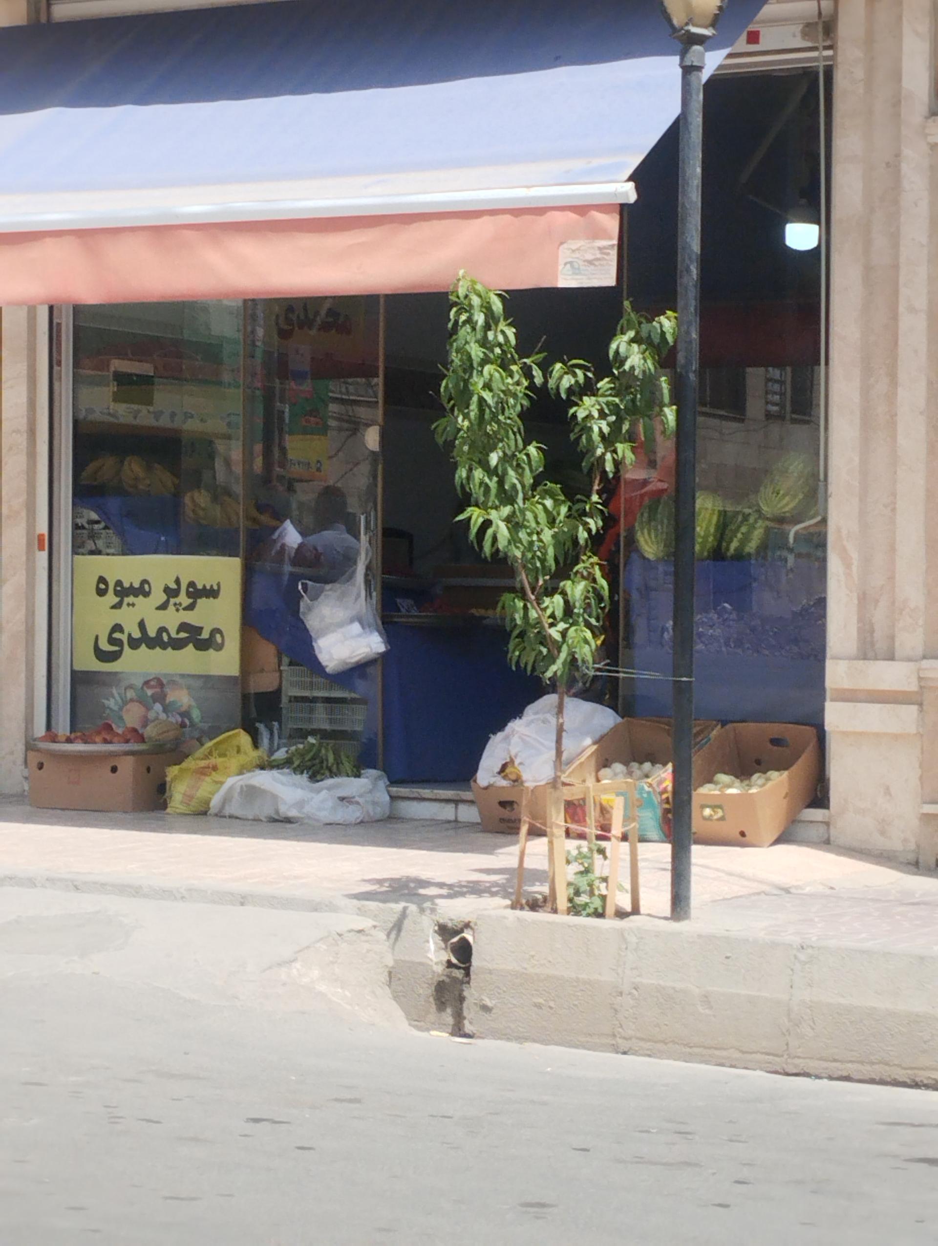 عکس سوپر میوه محمدی