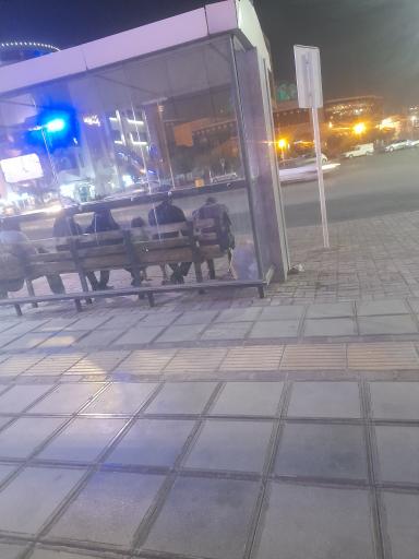 عکس  میدان بهارستان