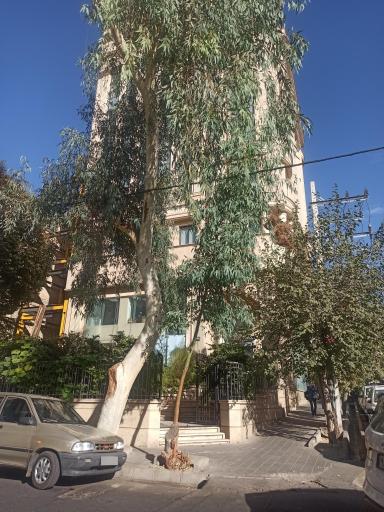 عکس انتشارات سازمان حسابرسی 