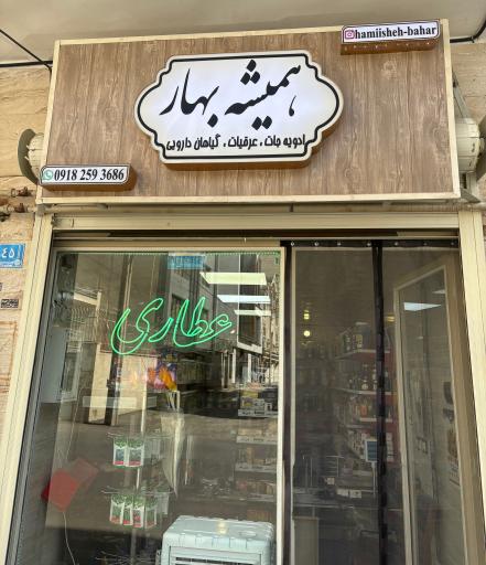 عکس عطاری همیشه بهار