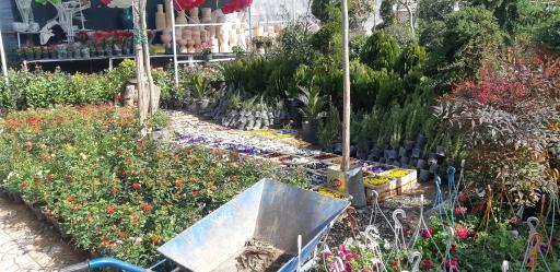 عکس بازار گل و گیاه شهرداری منطقه 2